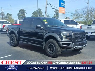 2017 Ford F-150 for sale in Flat Rock MI
