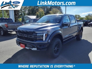 2024 Ford F-150 for sale in Minong WI