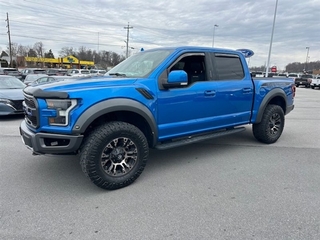 2019 Ford F-150 for sale in Greeneville TN