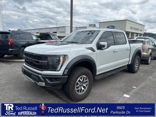 2023 Ford F-150 for sale in Knoxville TN