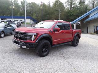 2024 Ford F-150 for sale in Danville WV