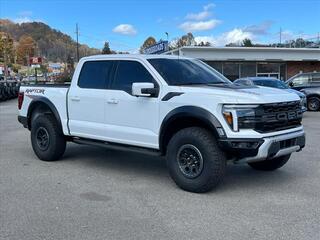 2024 Ford F-150 for sale in Waynesville NC