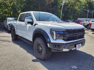 2024 Ford F-150 for sale in Butler NJ