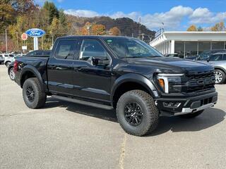 2024 Ford F-150 for sale in Waynesville NC