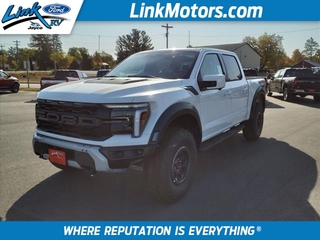 2024 Ford F-150 for sale in Minong WI