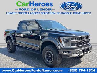 2023 Ford F-150 for sale in Lenoir NC
