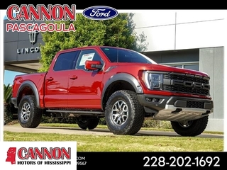 2023 Ford F-150 for sale in Orange TX