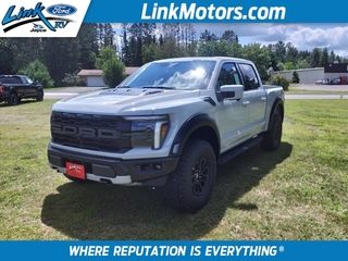 2024 Ford F-150 for sale in Minong WI