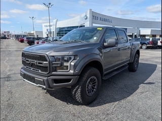 2019 Ford F-150 for sale in Knoxville TN