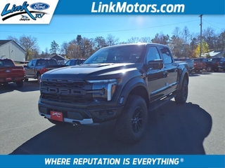 2025 Ford F-150 for sale in Minong WI
