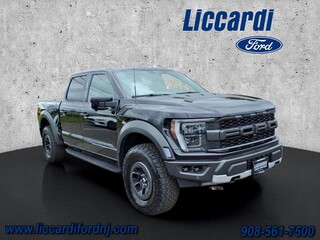 2023 Ford F-150 for sale in Watchung NJ