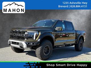 2025 Ford F-150 for sale in Brevard NC