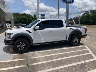 2017 Ford F-150 for sale in Dothan AL