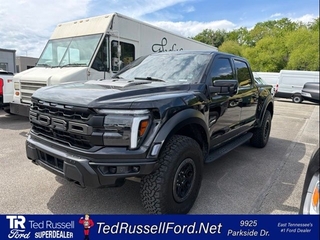 2024 Ford F-150 for sale in Knoxville TN