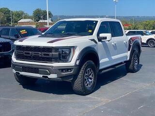 2021 Ford F-150 for sale in Hixson TN