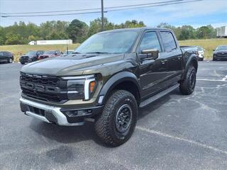 2024 Ford F-150 for sale in Malvern AR