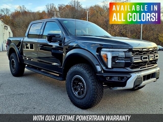 2024 Ford F-150 for sale in Mouundsville WV