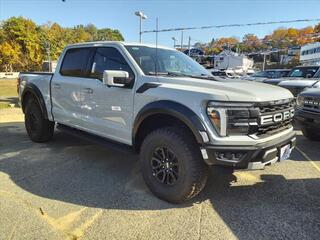 2024 Ford F-150 for sale in Butler NJ