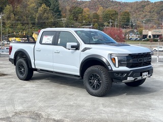 2025 Ford F-150 for sale in Waynesville NC