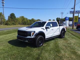 2024 Ford F-150 for sale in Cortland OH