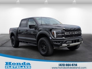 2025 Ford F-150 for sale in Cleveland TN
