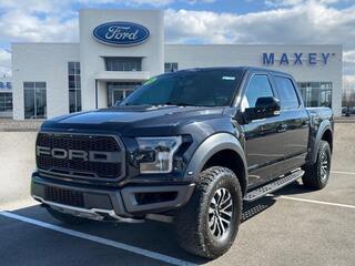 2019 Ford F-150 for sale in Fowlerville MI