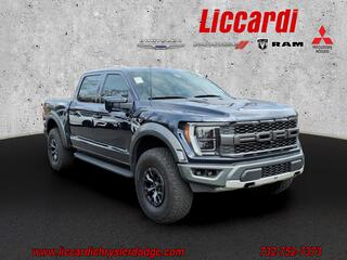 2023 Ford F-150 for sale in Greenbrook NJ
