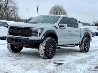 2024 Ford F-150 for sale in Farmington Hills MI