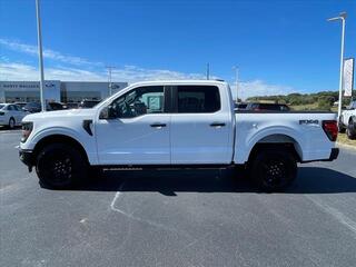 2024 Ford F-150 for sale in Dandridge TN