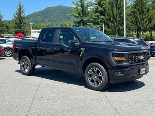 2024 Ford F-150 for sale in Canton NC