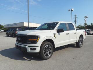 2024 Ford F-150 for sale in Martinsburg WV