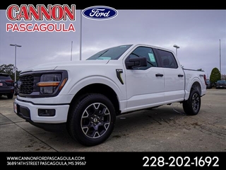 2024 Ford F-150 for sale in Orange TX