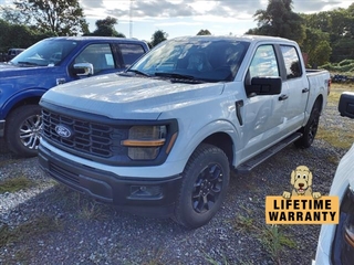 2024 Ford F-150 for sale in Bristol TN