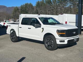 2024 Ford F-150 for sale in Canton NC