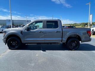 2024 Ford F-150 for sale in Dandridge TN