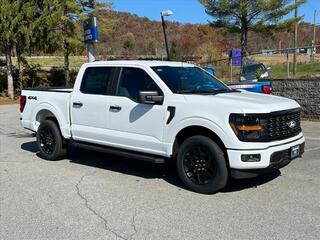 2024 Ford F-150 for sale in Canton NC