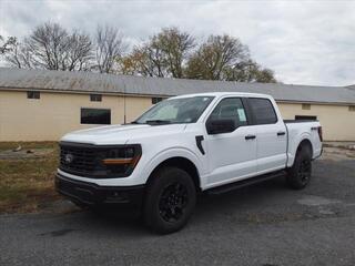 2024 Ford F-150 for sale in Martinsburg WV