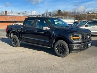 2024 Ford F-150 for sale in Waynesville NC