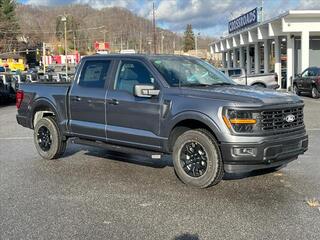 2024 Ford F-150 for sale in Waynesville NC