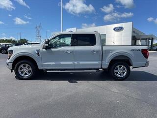 2024 Ford F-150 for sale in Dandridge TN