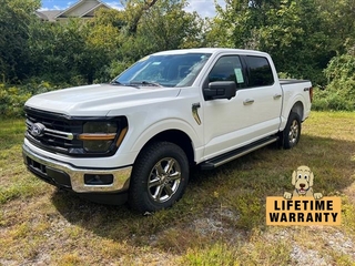 2024 Ford F-150 for sale in Lenoir NC