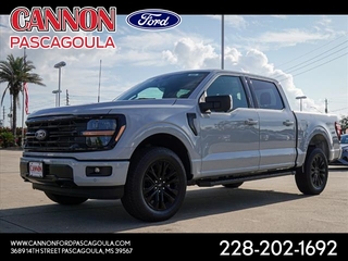 2024 Ford F-150 for sale in Orange TX