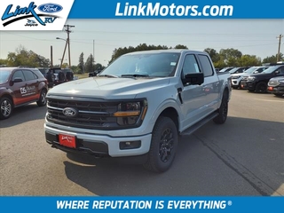 2024 Ford F-150 for sale in Minong WI