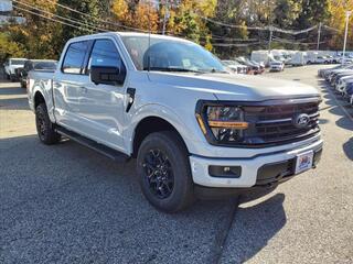 2024 Ford F-150 for sale in Butler NJ