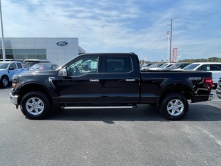 2025 Ford F-150 for sale in Dandridge TN