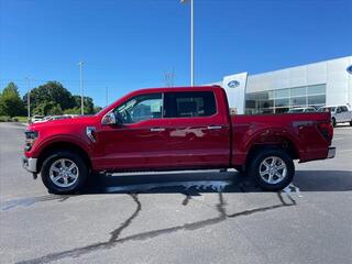 2024 Ford F-150 for sale in Dandridge TN