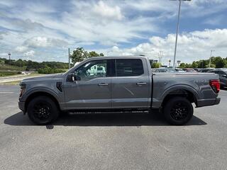 2025 Ford F-150 for sale in Dandridge TN