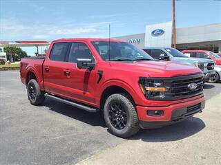 2024 Ford F-150 for sale in Bowling Green KY