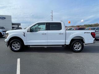 2024 Ford F-150 for sale in Dandridge TN