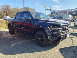 2024 Ford F-150 for sale in Butler NJ